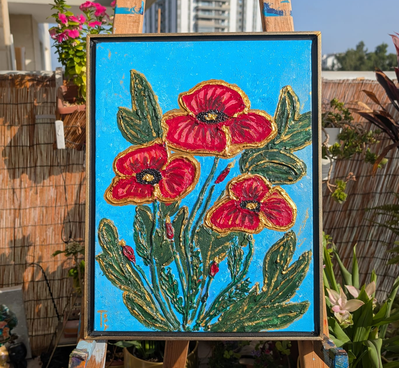 פרגים אדומים